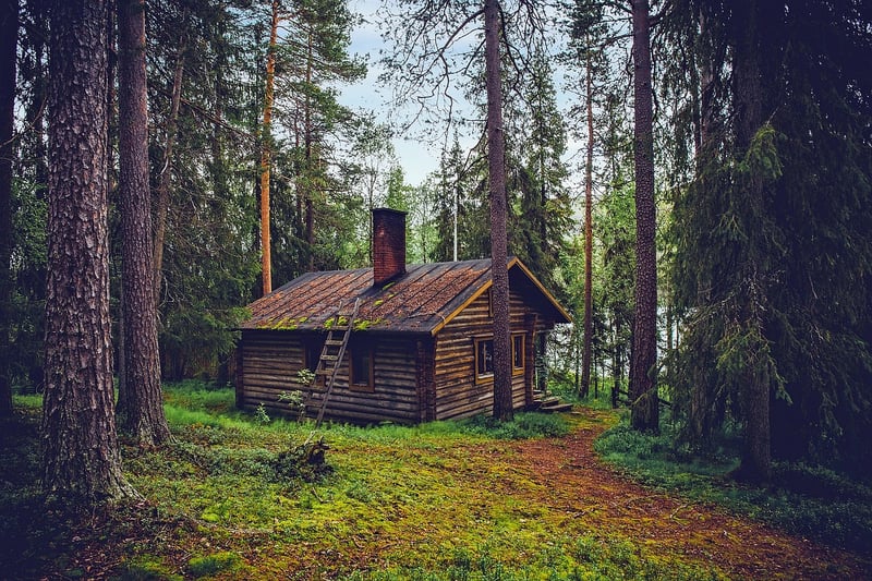 Cozy Cabin in the Forest